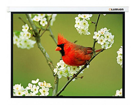Экран для проектора Lumien Master Picture LMP-100107 настенно-потолочный